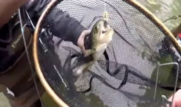 野外爱爱视频,揭秘户外浪漫瞬间